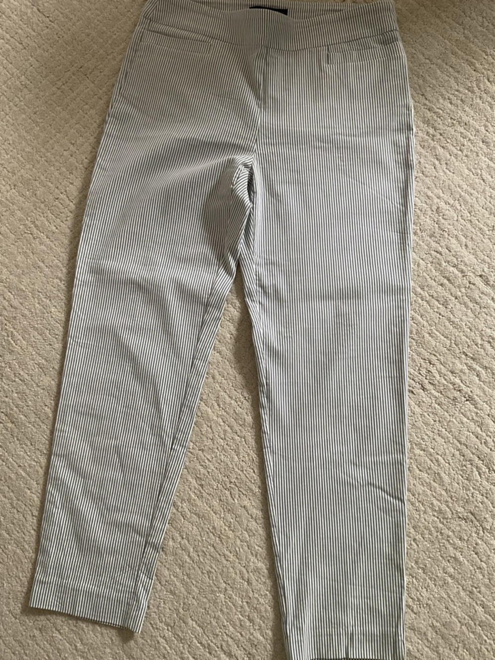 Zac & Rachel Blue and White Pinstripe Pants